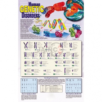 遗传与遗传设备