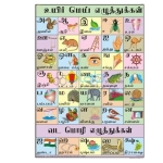泰米尔语的字母表