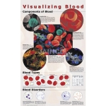 可视化血液的海报