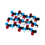 蛋白β褶片分子模型试剂盒